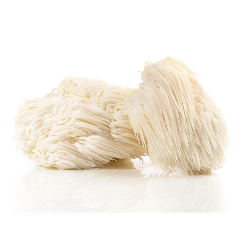 Lions Mane | Nature’s Brain Food